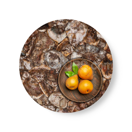 Brown Petrified Wood Table Top